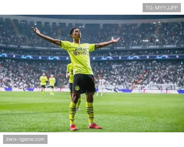 足球新星观察榜揭晓：未来之星闪耀赛场，年轻球员表现引热议