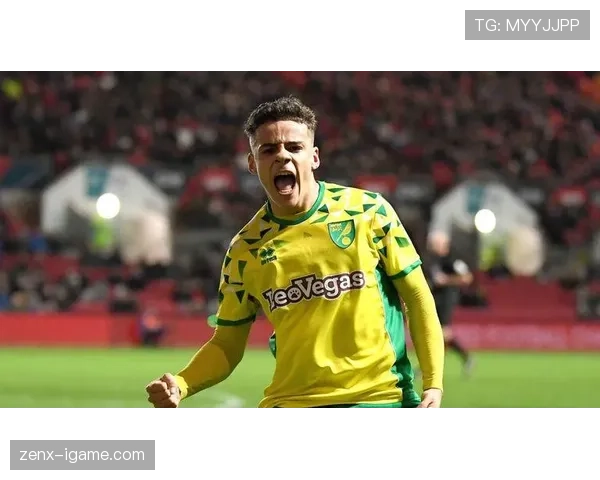 诺维奇城降级获补偿,开启重建新篇章迎新机遇 诺维奇城降级获补偿,开启重建新篇章迎新机遇