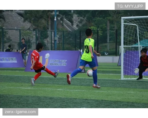 罢赛会直接判负?足球规则如何界定球队中途退场 罢赛会直接判负?足球规则如何界定球队中途退场