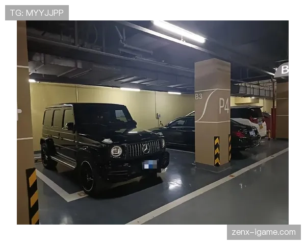 孙悦家的车库比我家还大，里面停的车我一辈子都买不起